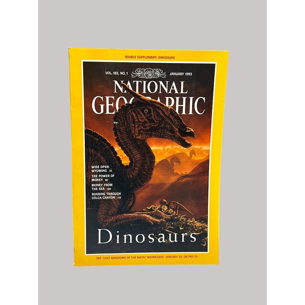 National Geographic Magazine Vol. 183 No. 1 January 1993 Dinosaurs Edition